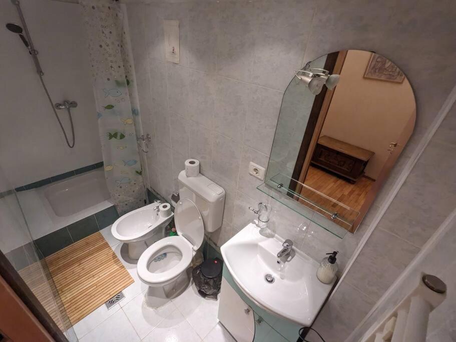 Boheme Central Apartment Timisoara Ngoại thất bức ảnh